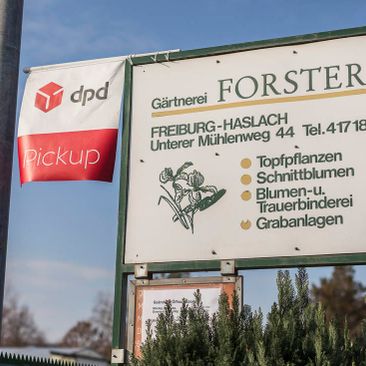 Gärtnerei Forster Freiburg - Impressionen