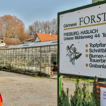 Gärtnerei Forster Freiburg - Impressionen