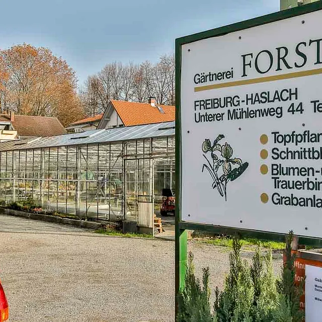 Gärtnerei Forster Freiburg - Impressionen